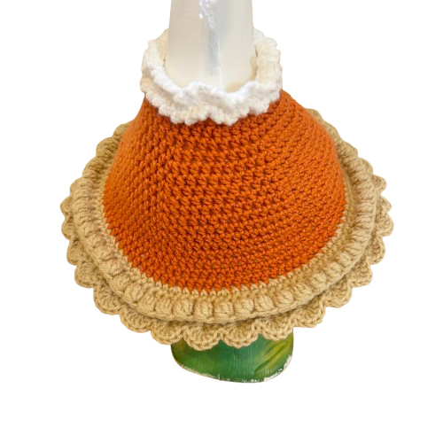 Pumpkin Pie Porch Goose Outfit