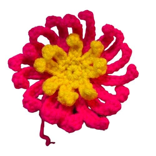 Cactus Porch Goose Crochet Pattern PDF Instant Download