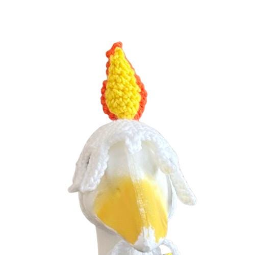 Birthday Cake Porch Goose Crochet Pattern PDF Instant Download