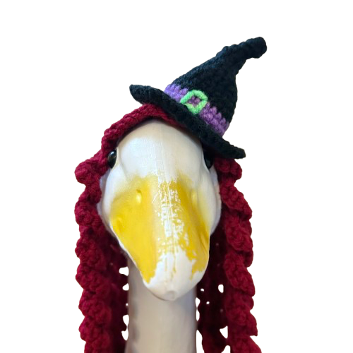 Halloween Girl Witch Porch Goose Crochet Pattern PDF Instant Download